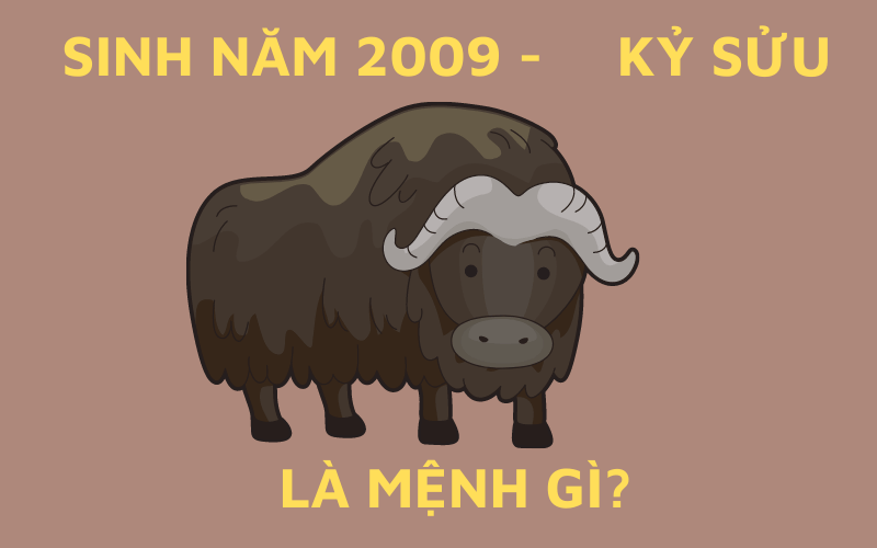 Sinh Năm 2009 Mệnh Gì? Tử Vi Trọn Đời Người Sinh Năm 2009