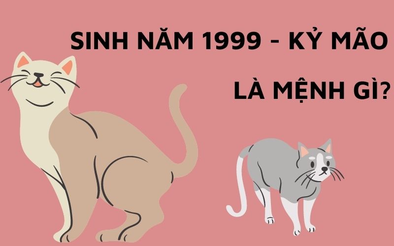 Sinh Năm 1999 Mệnh Gì? Tổng Quan Về Kỷ Mão 1999
